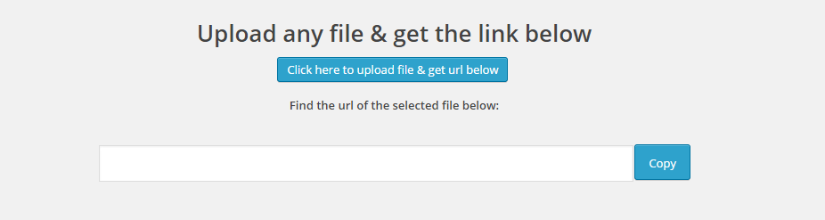 Quick Uploader Plugin For WordPress [A Complete Guideline]
