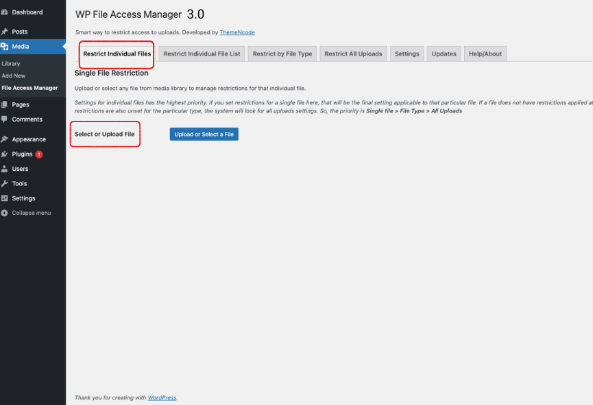 Restrictions By Individual File under wp file access manager