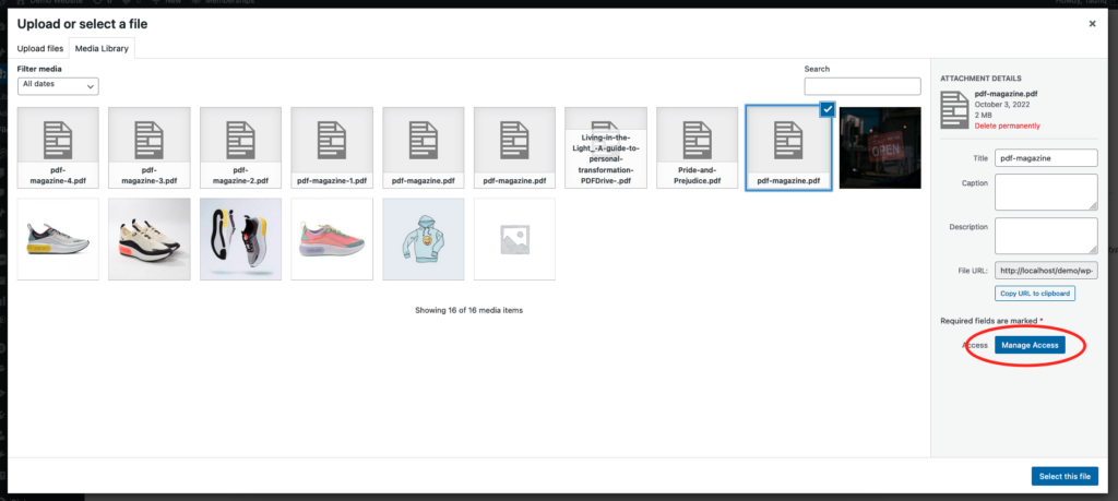 Manage Access WP File Access Manager