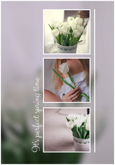 Image-gallary-1